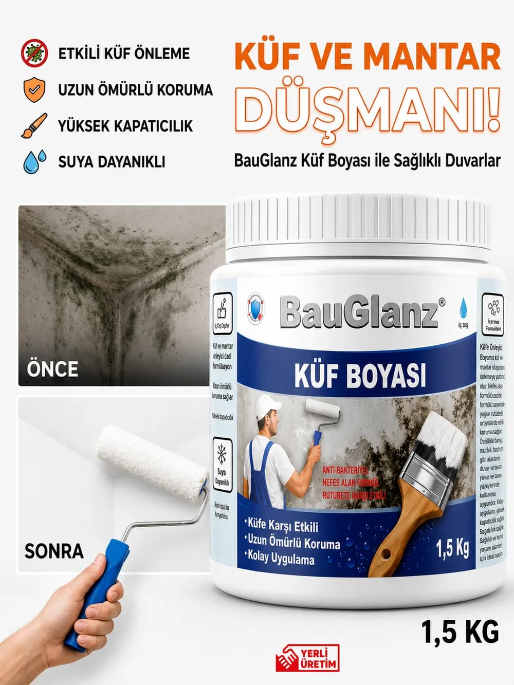 BauGlanz Anti-Mold küf ve rutubet önleyici boya önce ve sonra uygulama afişi